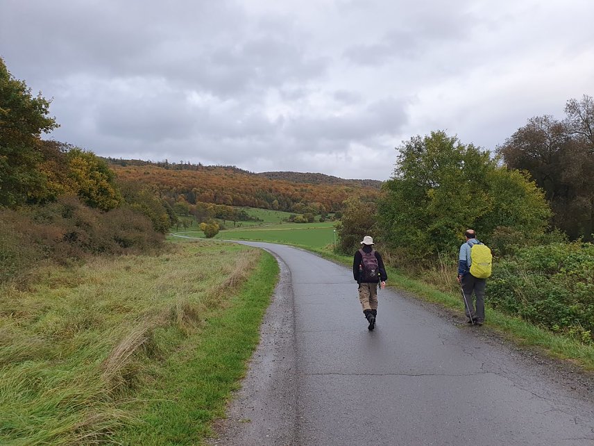 Bild: Zwischen Uftrungen und Breitungen er&ouml;ffnet sich dem Wanderer ein sch&ouml;ner Blick auf den bunten Herbstwald im Biosph&auml;renreservat Karstlandschaft S&uuml;dharz.