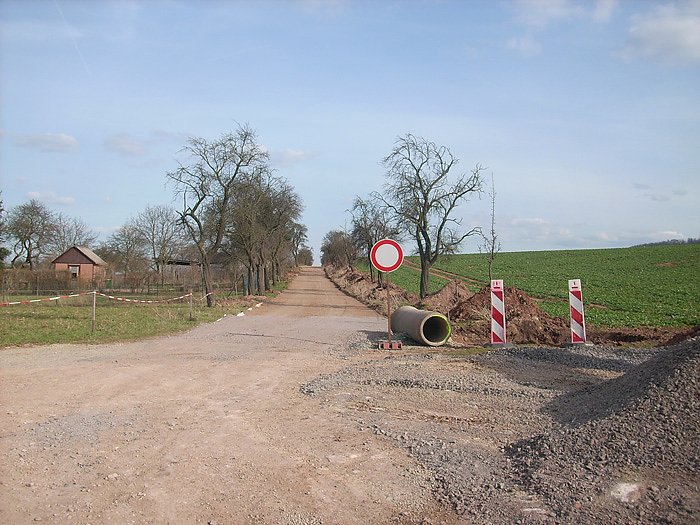 Bild: Bau der Zwetschgenallee