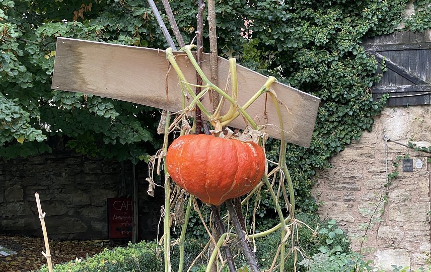 Bild: Die freundlichen Herbsttage sind vorbei