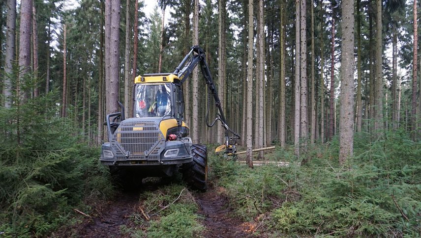Bild: Durchforstungen, also die F&ouml;rderung von vitalen Einzelb&auml;umen, erfolgen in der Regel durch Forstmaschinen. Sie dienen unmittelbar der Stabilisierung der W&auml;lder im Klimawandel und f&ouml;rdern so den Waldumbau