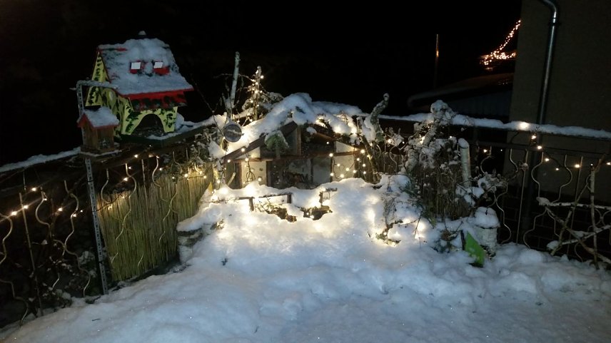 Bild: Winterwald im S&uuml;dharz