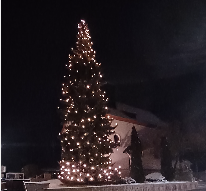 Bild: Der Weihnachtsbaum in Ferna leuchtet wieder