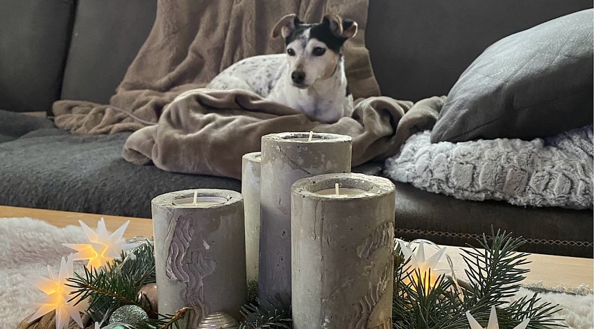 Bild: Gem&uuml;tliche Vorweihnachtszeit f&uuml;r Jacky
