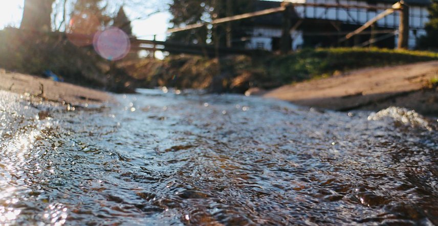 Bild: Wo Wasser flie&szlig;t ist Leben