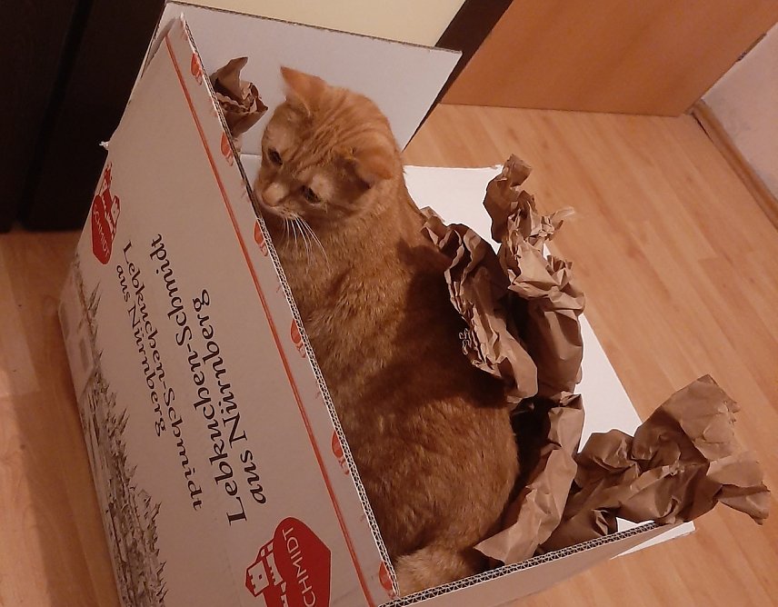Bild: Leckere Lebkuchen