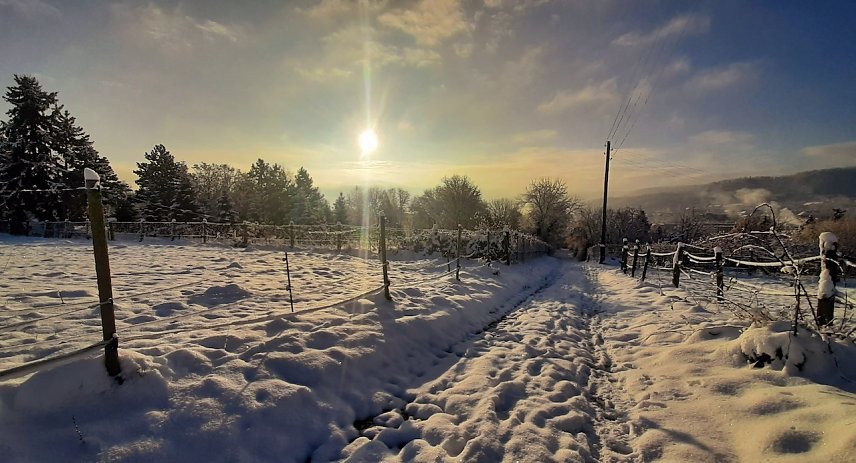 Bild: Winterspaziergang und die Stille genie&szlig;en