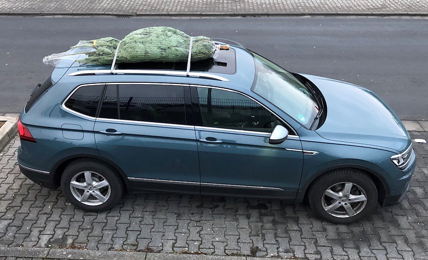 Bild: Beim Transport auf dem Dach muss der Weihnachtsbaum mit Spanngurten richtig gesichert werden 