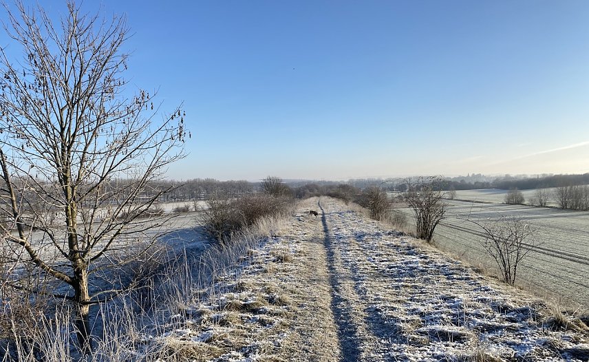 Bild: Wer in den n&auml;chsten Tagen echten Schnee sehen will, der muss sich Richtung S&uuml;ddeutschland aufmachen 