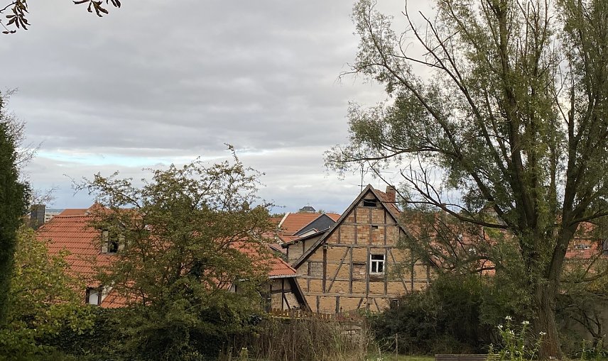 Bild: Weiterhin mildes Wetter in Aussicht