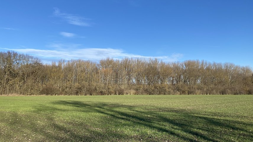 Bild: Am Badew&auml;ldchen bei Bad Langensalza