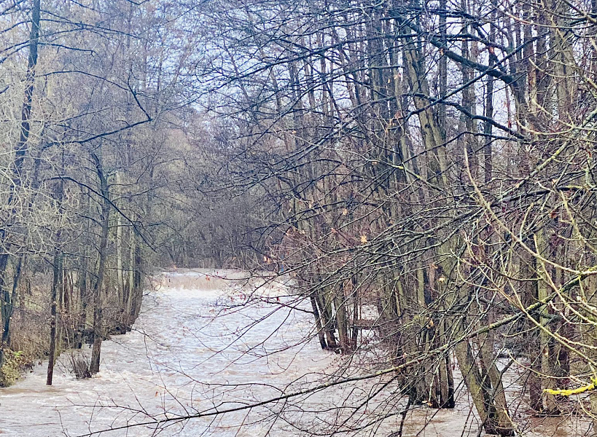 Bild: Wetterbild