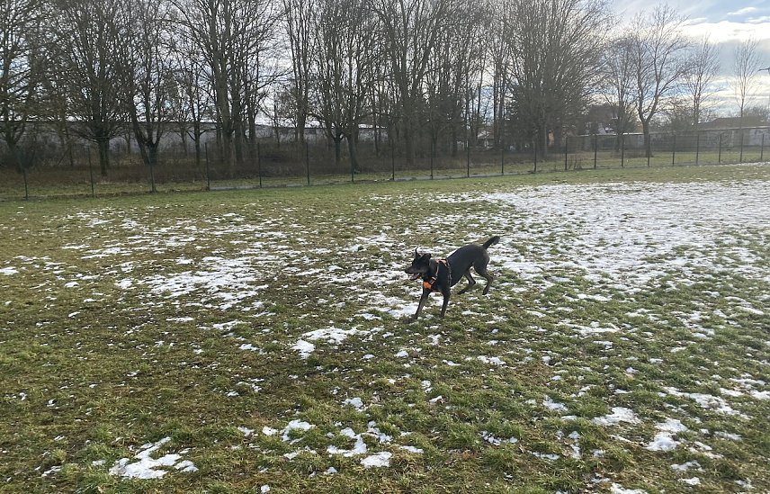 Bild: Kommt der Winter auch bald ins Flachland zur&uuml;ck?