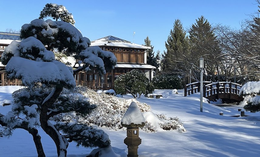 Bild: Japanischer Garten Bad Langensalza