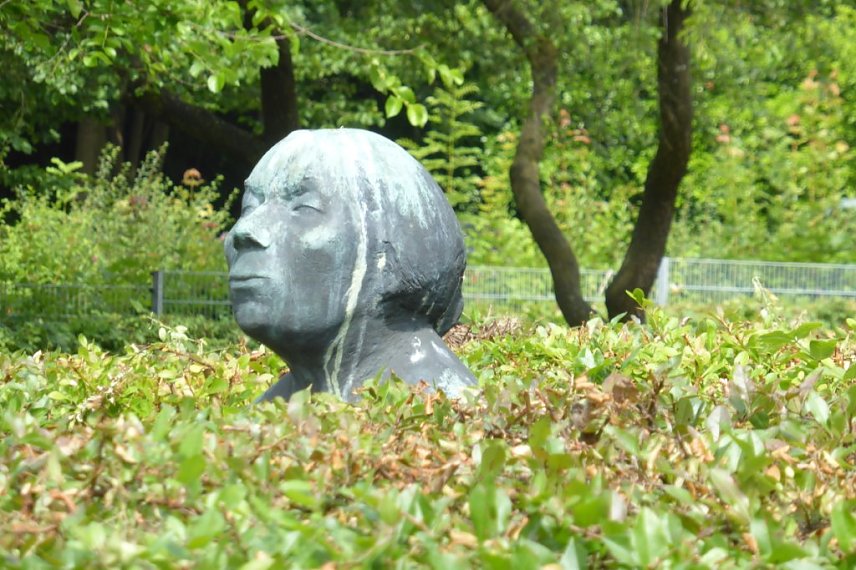 Bild: Kollwitz schaut