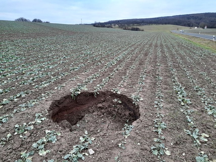 Bild: Erdfall nahe der Stra&szlig;e nach Hayn &ouml;stlich Breitungen
