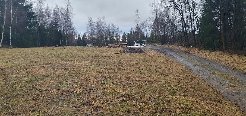 Bild:  und rund sechs Stunden sp&auml;ter nach der Mahd.  Rechts ist der fr&uuml;here Kolonnenweg zu sehen.