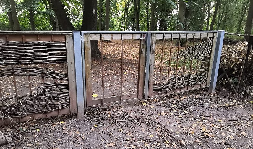 Bild: Nicht nur der Zahn der Zeit sondern auch Vandalen vermiesen Hundebesitzern in Nordhausen den Alltag. Dieses Foto vom Hundespielplatz im Alten Friedhof stammt aus dem August 2022