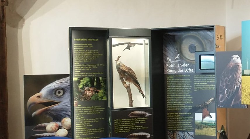 Bild: Blick in die Ausstellung "Rotmilan � Land zum Leben"
