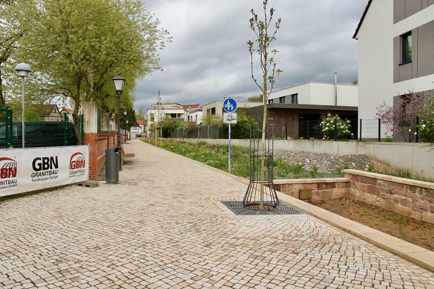 Bild: Bl&uuml;hstreifen auf dem Weg des alten M&uuml;hlgrabens an der Wiedigsburg