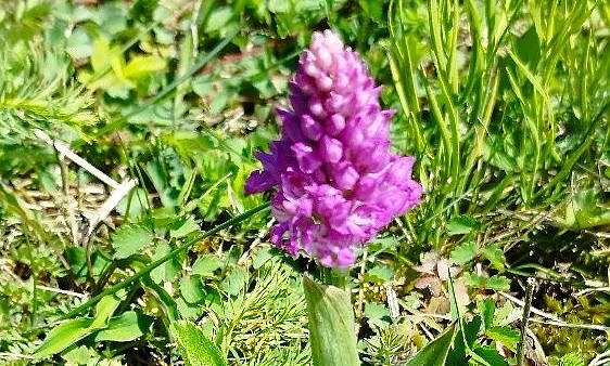 Bild: Sch&ouml;nheit der Natur