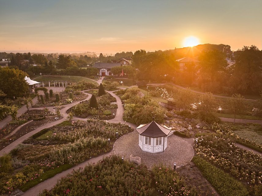 Bild: Abendstimmung im Rosengarten