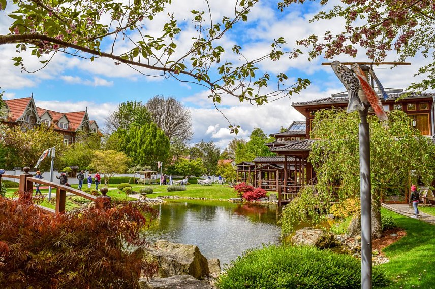 Bild: Koi Nobori im japanischen Garten in Bad Langensalza