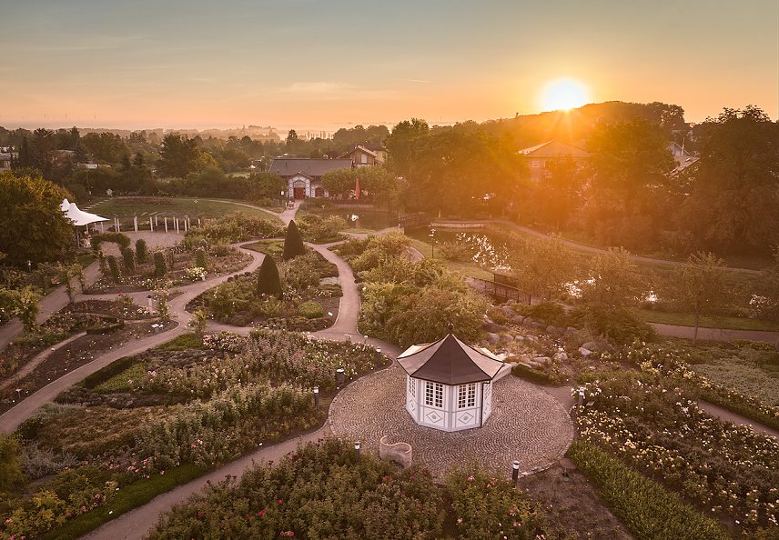 Bild: Der Rosengarten in Bad Langensalza in seiner vollen Pracht