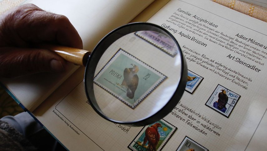 Bild: Briefmarken muss man nicht allein im stillen K&auml;mmerlein sammeln, im Gegenteil - die Philatelie hilft gegen die Einsamkeit, meinen die Nordh&auml;user Briefmarkensammler