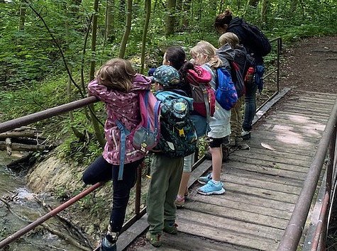 Bild: Kleine Entdecker im Wald