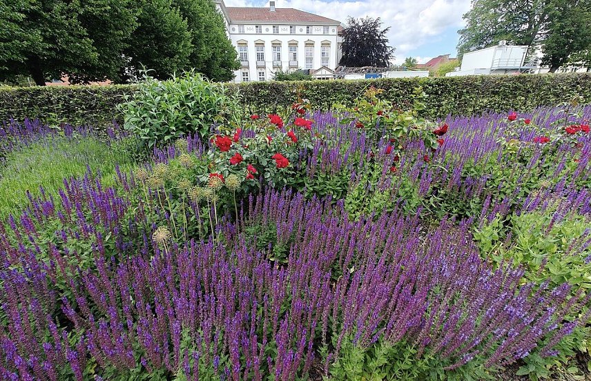 Bild: Gr&uuml;nanlage in Nordhausen