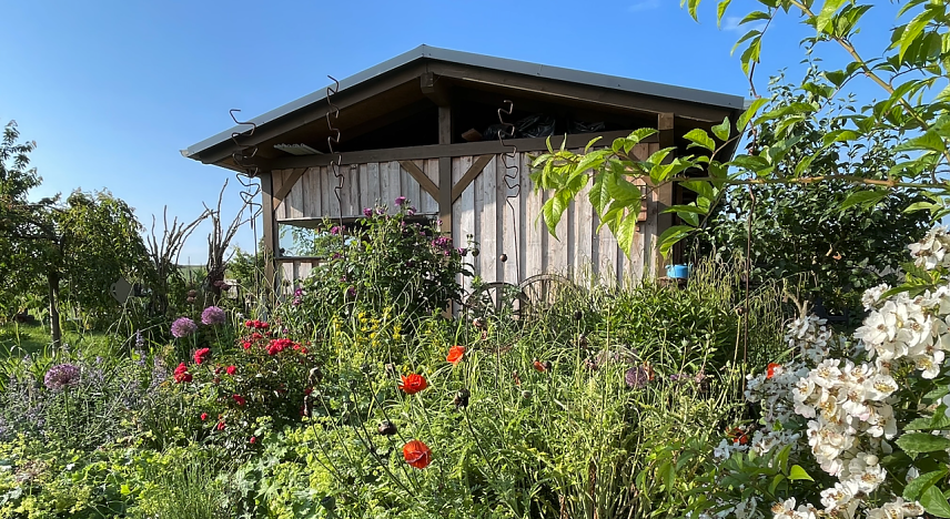 Bild: Ein Blick auf den Garten der Familie Wernicke aus Trebra, einer der Eingangsg&auml;rten f&uuml;r den "Tag der offenen G&auml;rten" am kommenden Sonntag