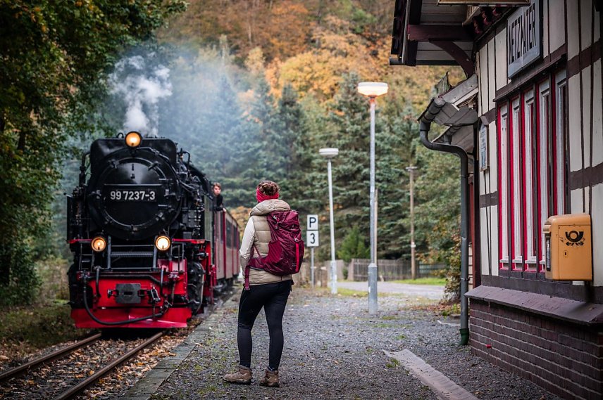 Bild: Auch der S&uuml;dharz ist mit dem Dampflok-Steig im Rennen