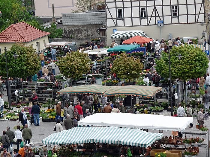 Bild: Pflanzenmarkt Sondershausen