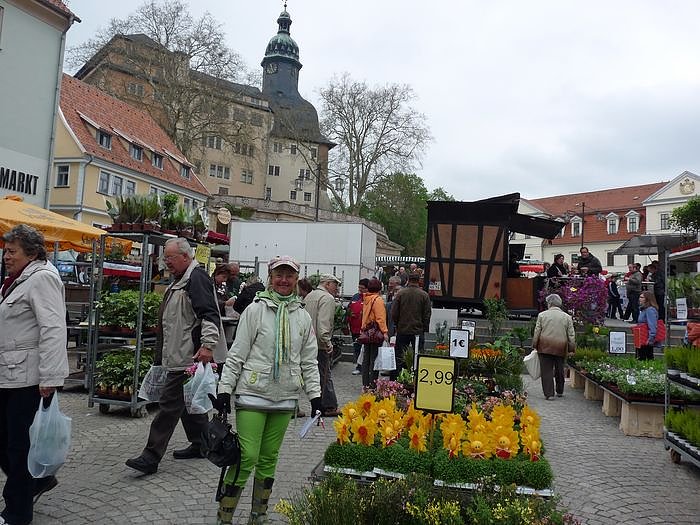 Bild: Pflanzenmarkt Sondershausen