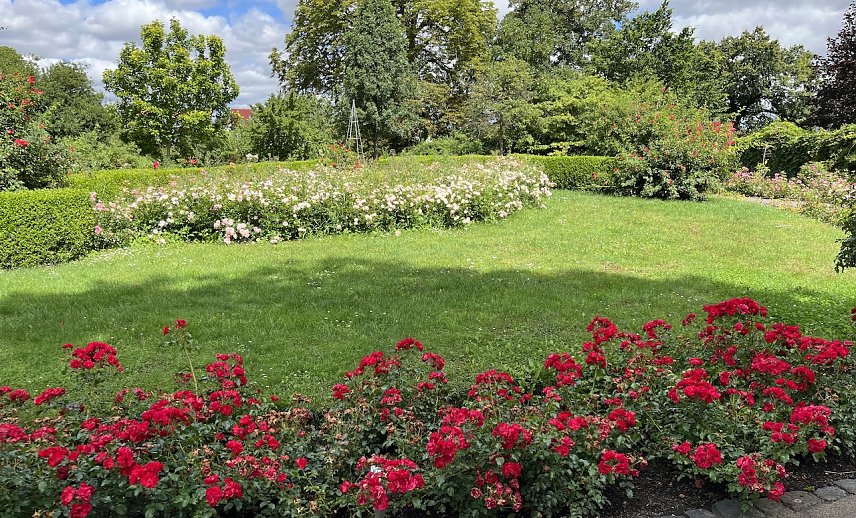Bild: Das Wochenende wird sommerlich warm
