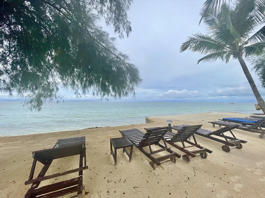 Bild: Highlights vom Strand auf Sansibar