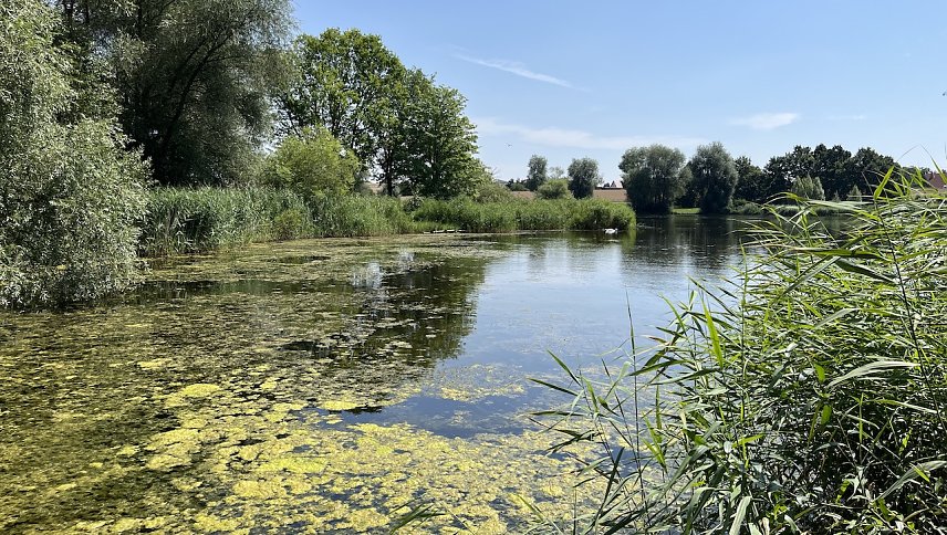 Bild: Am Opfermoor in Niederdorla