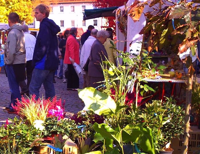 Bild: Bl&uuml;hender Markt
