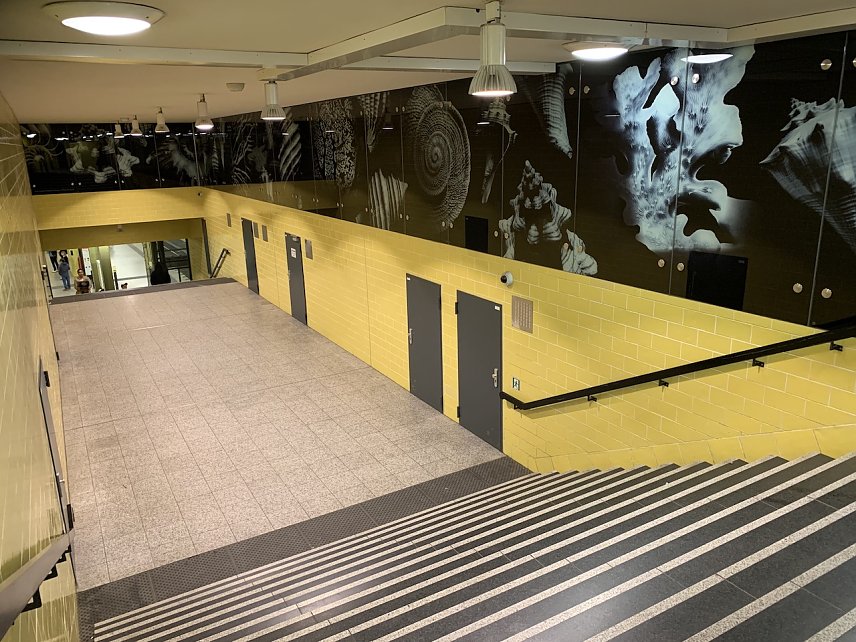 Bild: U-Bahnhof in Berlin