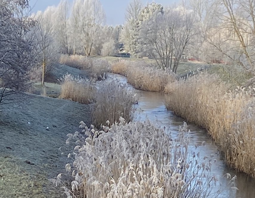 Bild: Wipperdamm bei frostigen Temperaturen