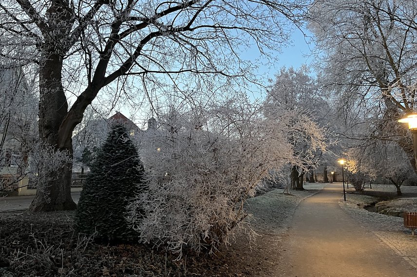 Bild: Weitere Nachtfr&ouml;ste bescheren ein winterliches Bild am Morgen