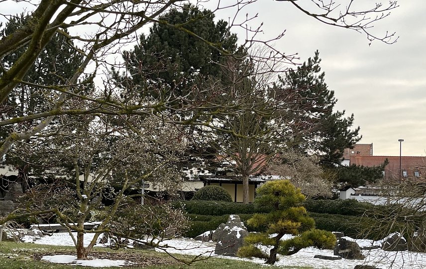 Bild: Warten nah den Fr&uuml;hling: Japanischer Garten Bad Langensalza 