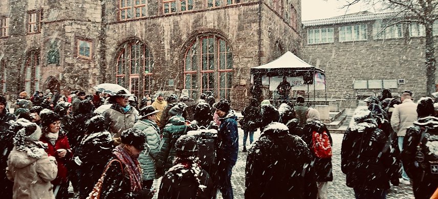 Bild: Demokratiefest im Schneegest&ouml;ber