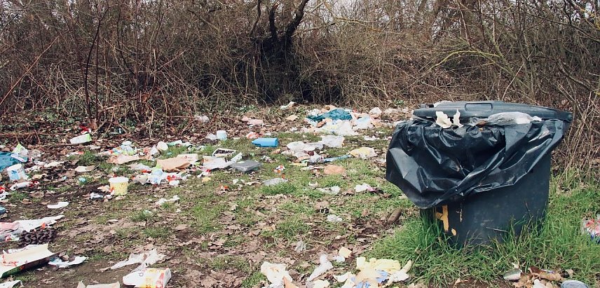 Bild: M&uuml;llchaos an der Betonstra&szlig;e, Archivbild