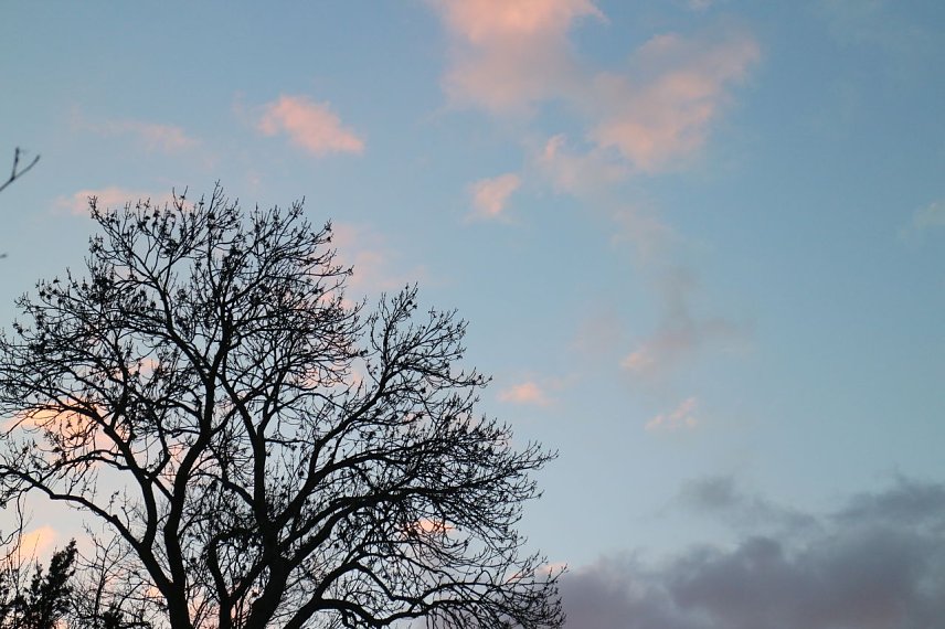 Bild: Wetterbild