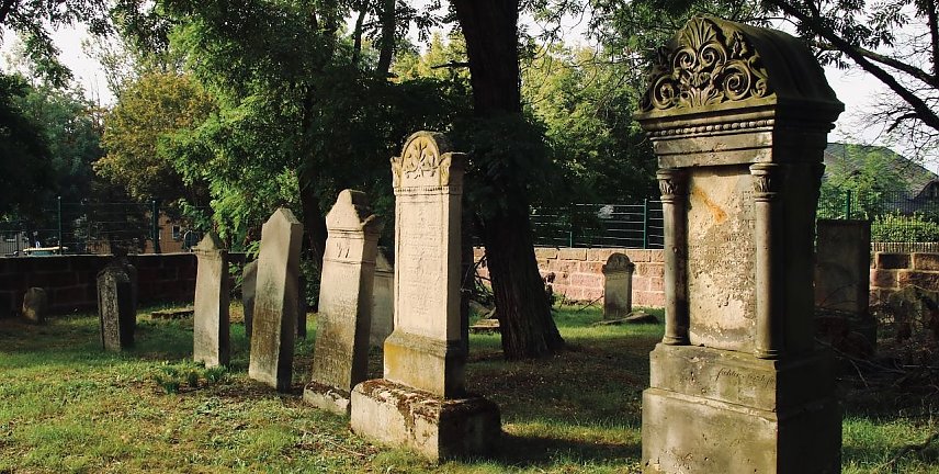 Bild: Der j&uuml;dische Friedhof in Nordhausen