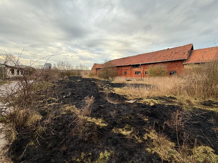 Bild: Abgebranntes &Ouml;dland bei Himmelgarten