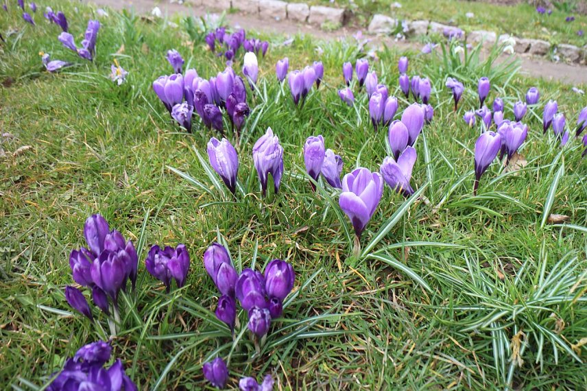 Bild: Wetterbild