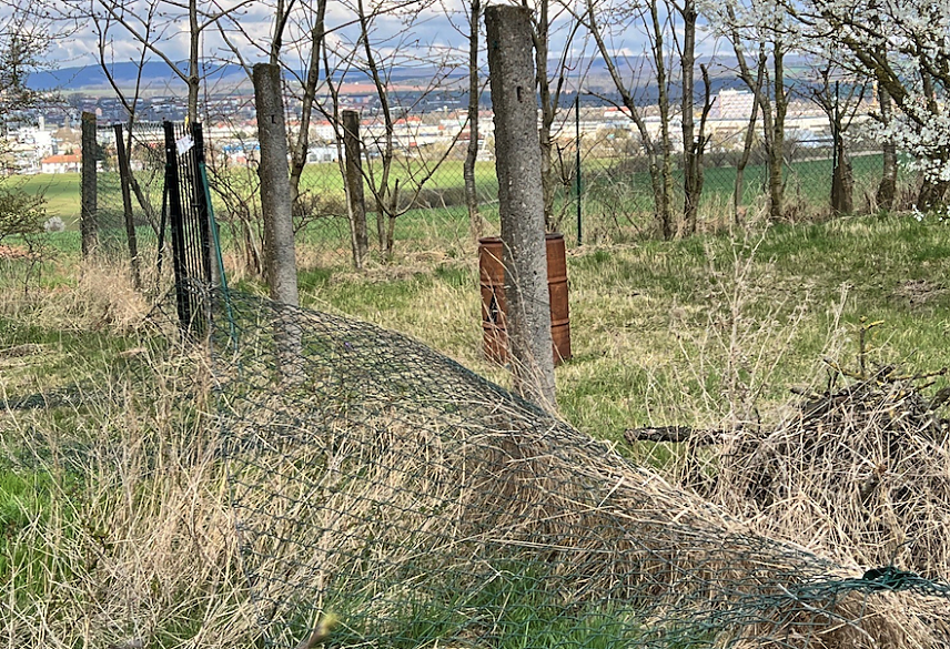 Bild: Heruntergerissener Zaun