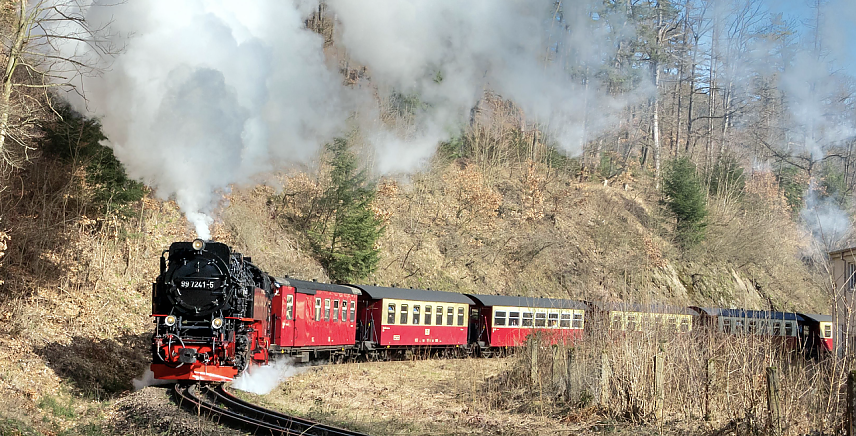 Bild: Die Harzquerbahn auf dem Weg zum Brocken